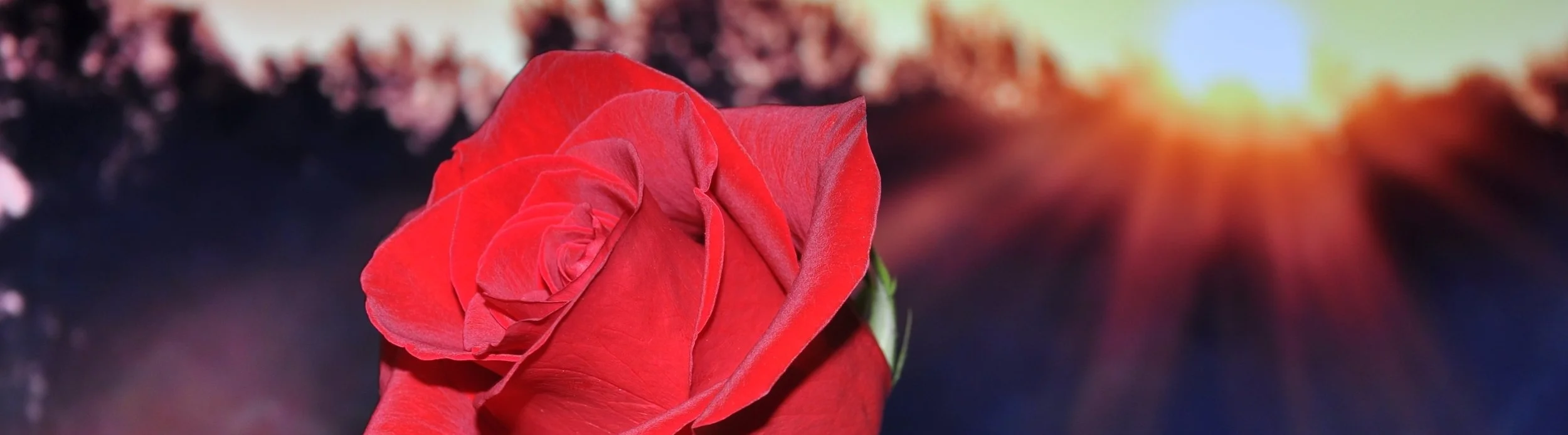 The Bachelor Recap: Arie's Season, Episode 3