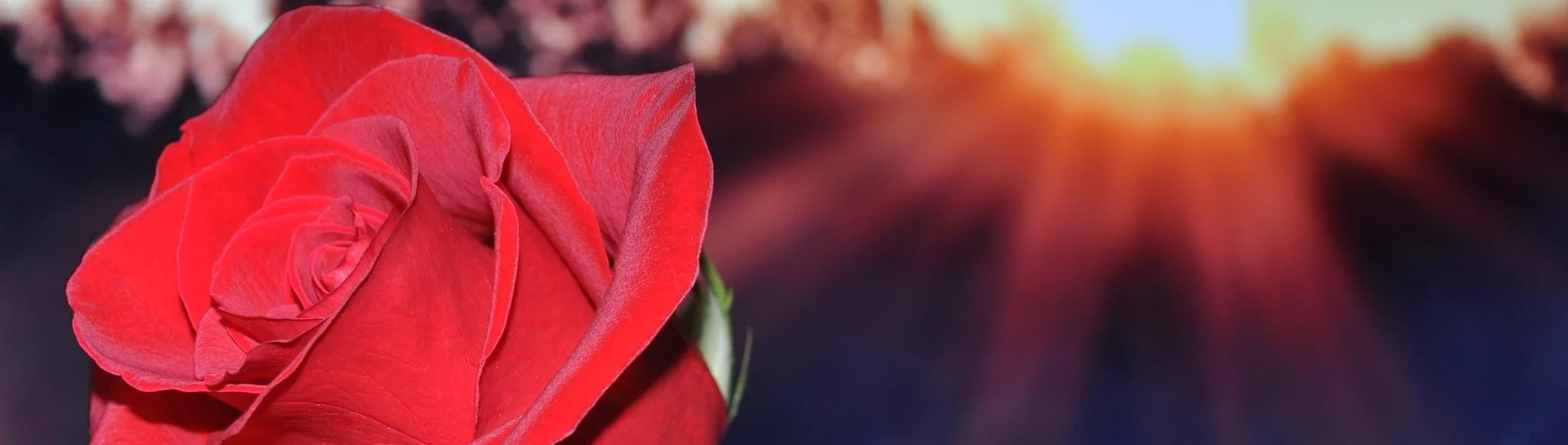 The Bachelor Recap: Arie's Season, Episode 9