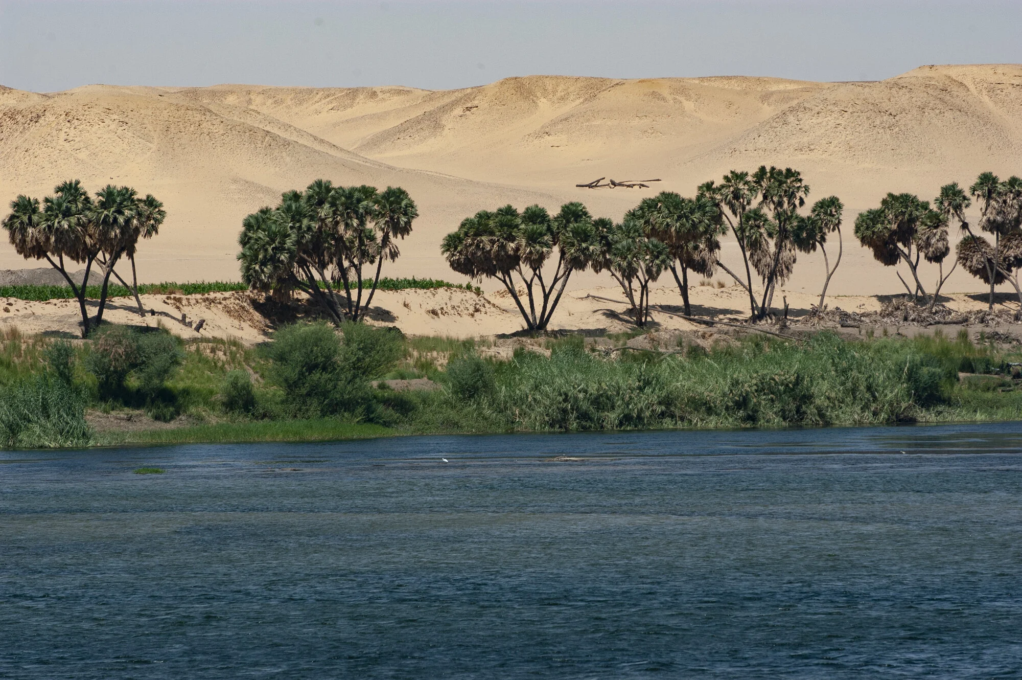   Egypt  