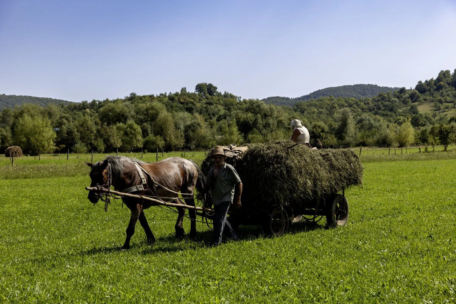 Romania23.JPG