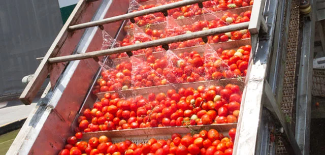 FP_vegetables_tomatoes640.jpg