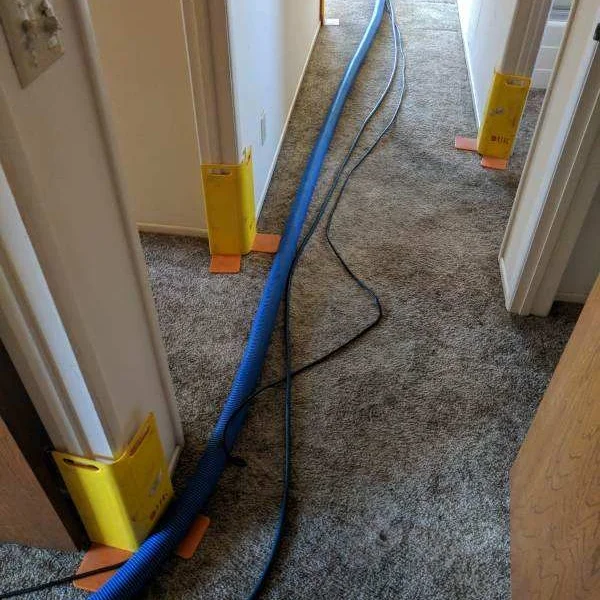 We make sure your walls and furniture are protected!