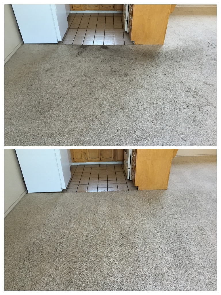 Residential Tile and Grout Cleaning Services In San Luis Obispo County —  Pioneer Carpet Cleaners