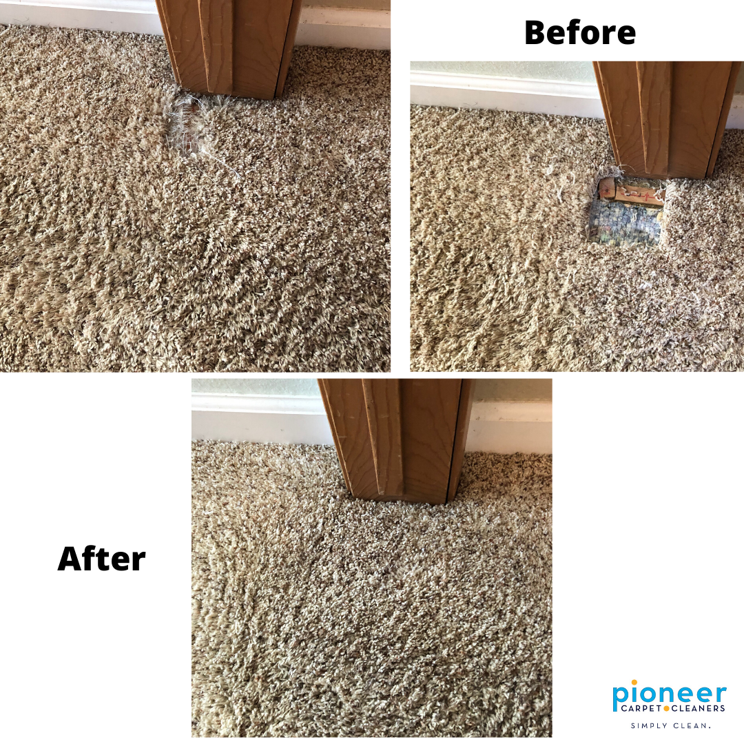 Residential Tile and Grout Cleaning Services In San Luis Obispo County —  Pioneer Carpet Cleaners