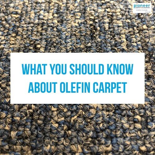Olefin Carpet Pioneer Cleaners