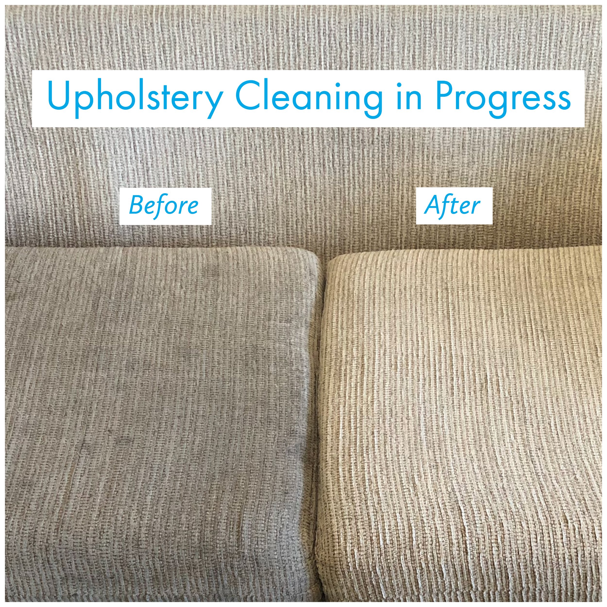 Upholstery Cleaning in Progress.jpg