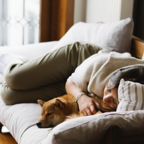 Woman and dog cuddling on the upholstered couch.