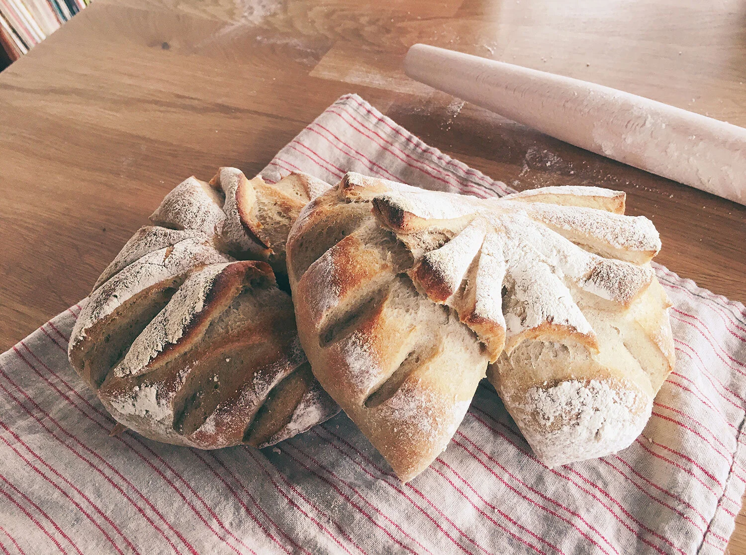 Week 16: Bowtie Bread