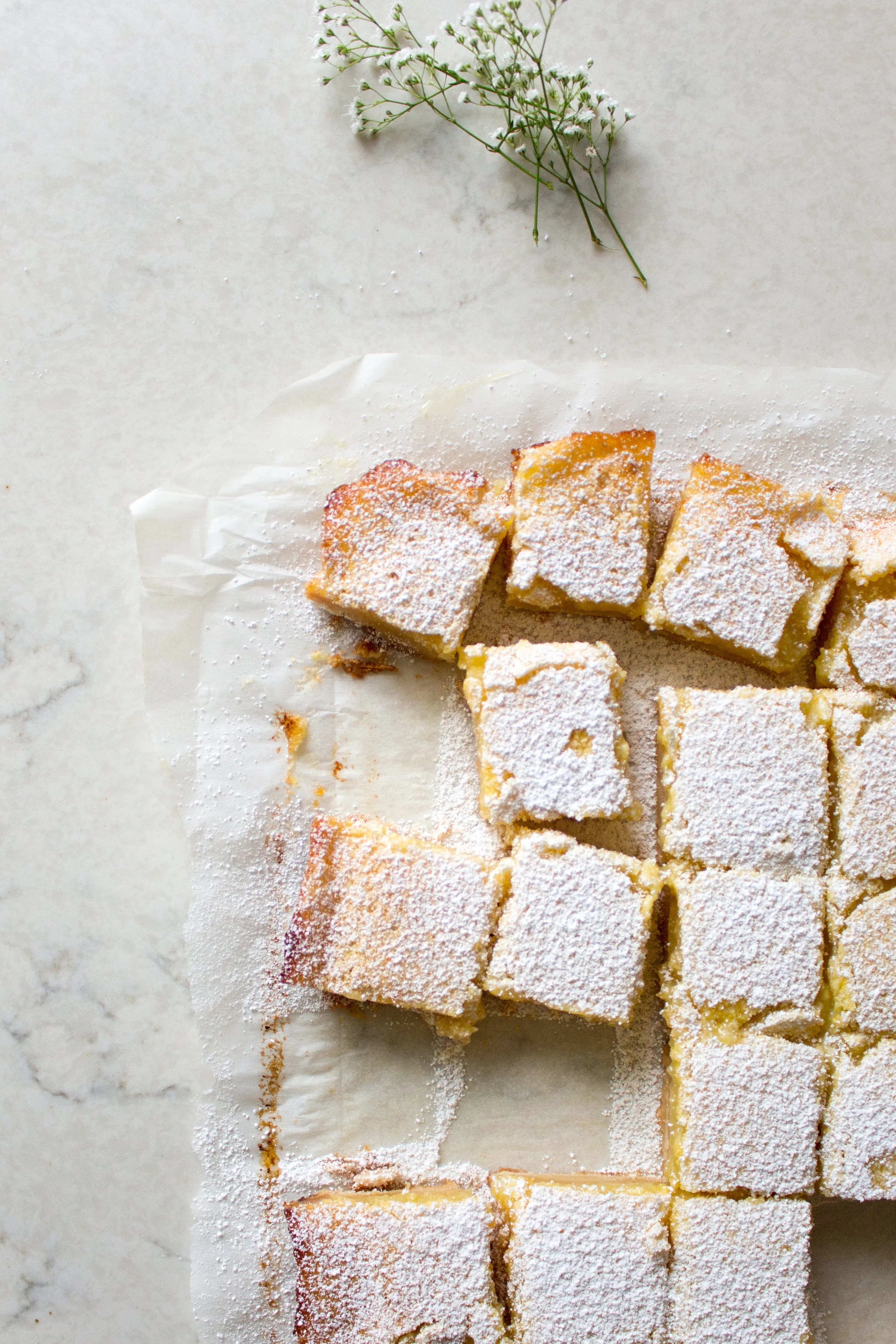 lemon bars-7.jpg
