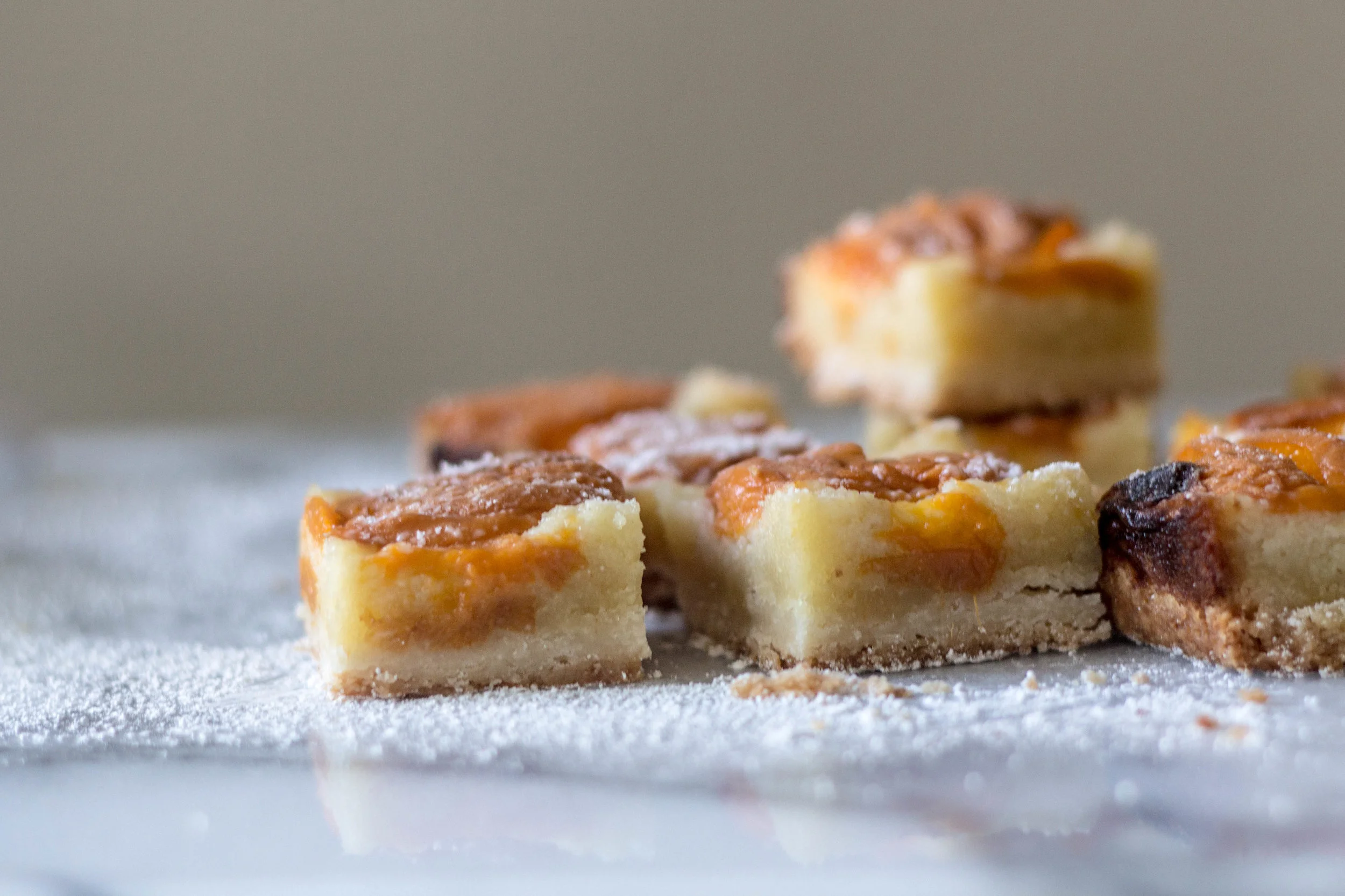 apricot almond bars-11.jpg