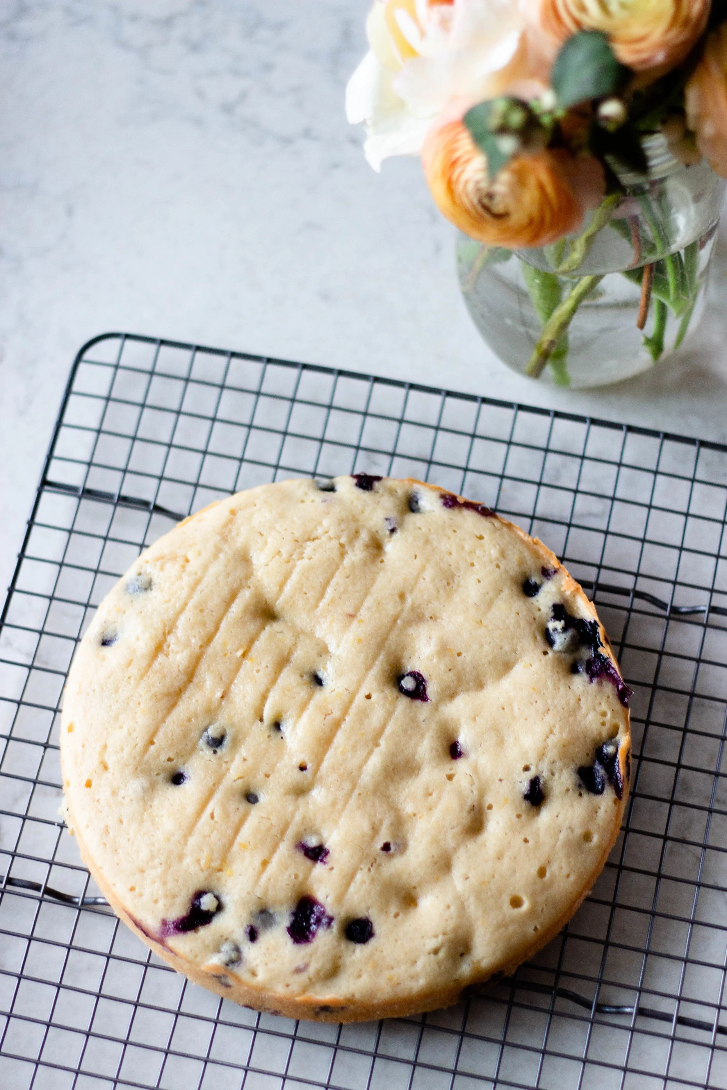 blueberry lemon cake-5.jpg