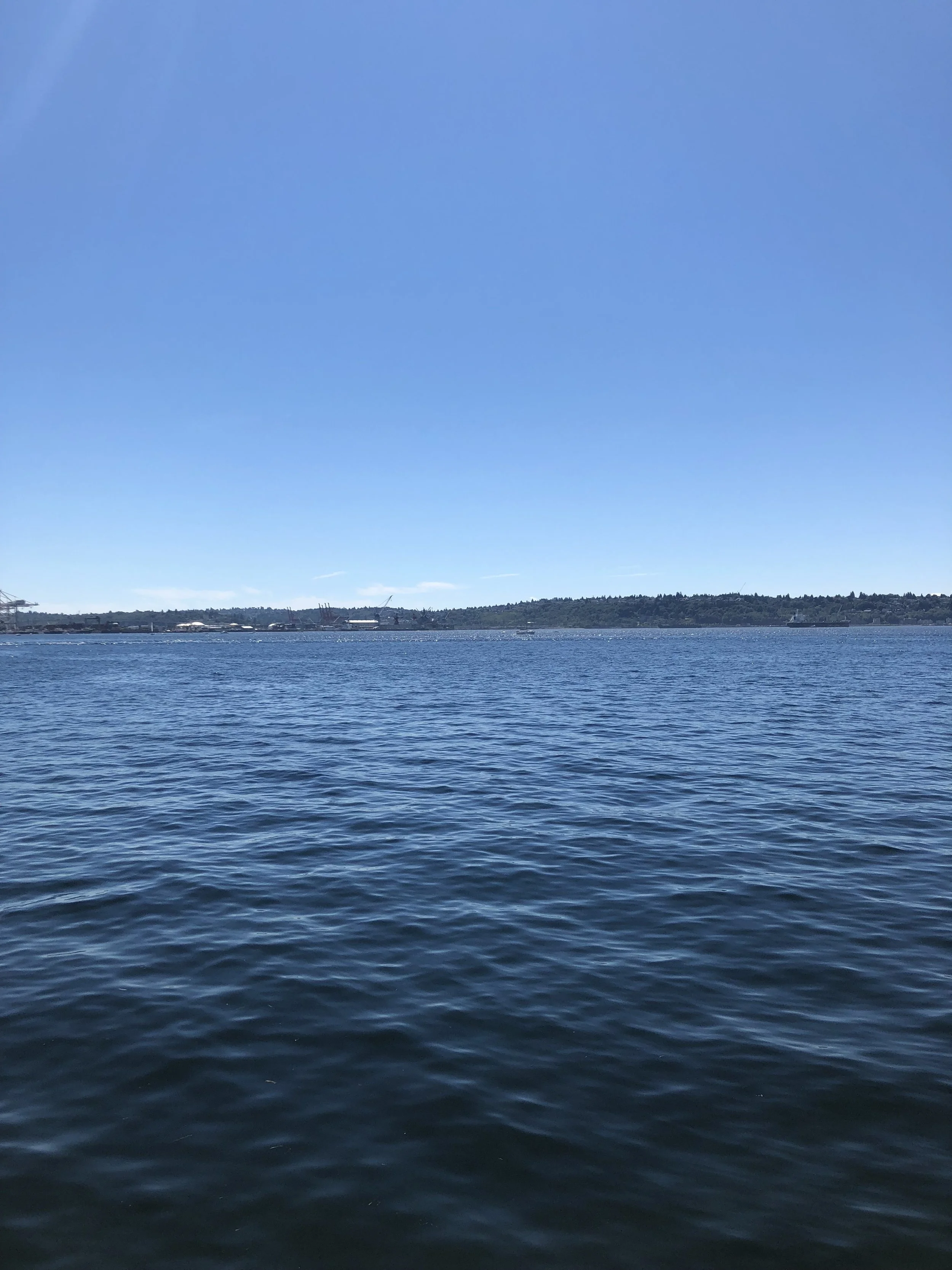 IMG_7346.jpeg