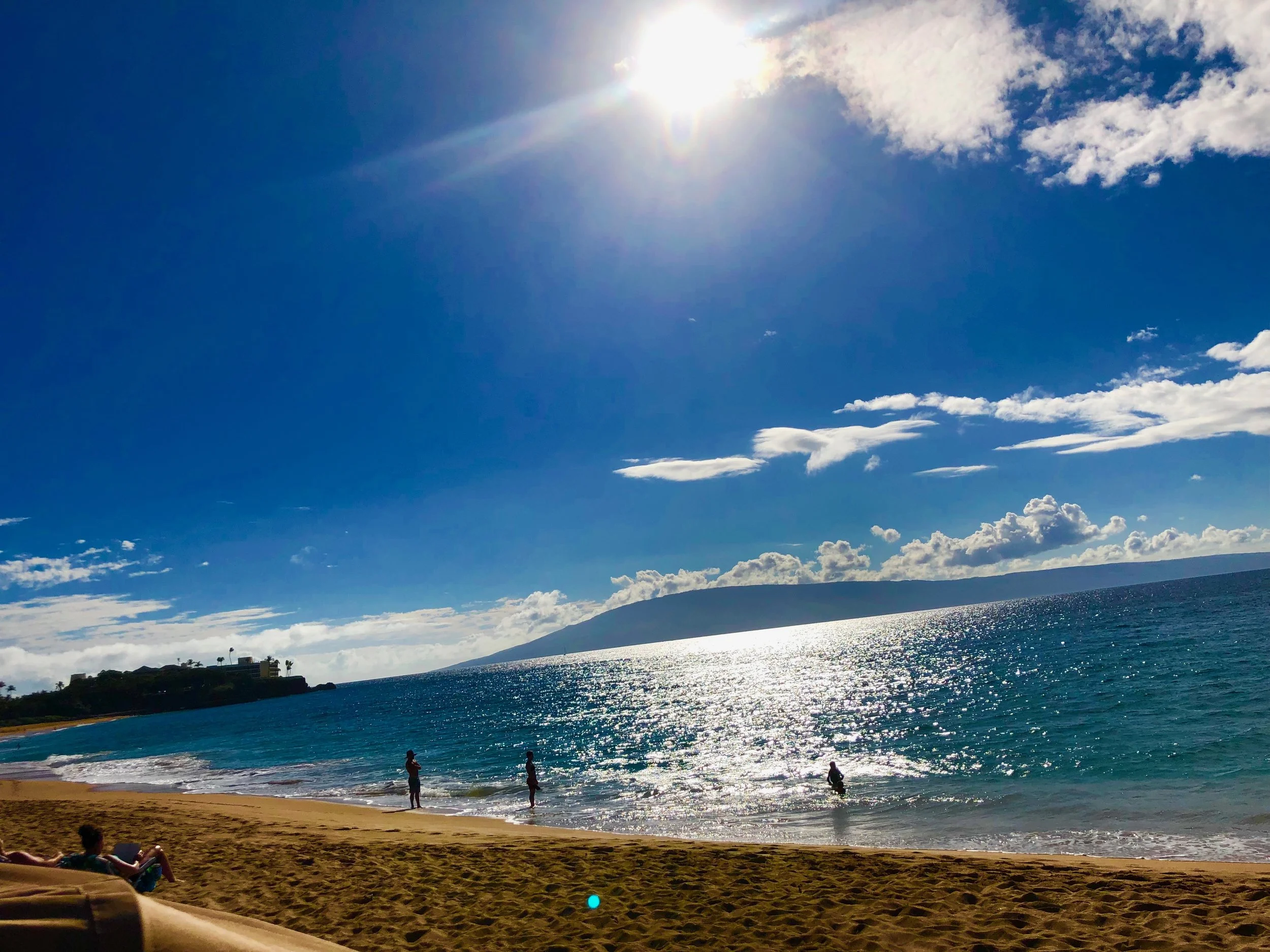 Maui 2019