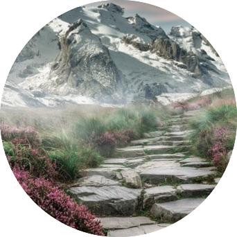 alpine flower lined path snowy mountains
