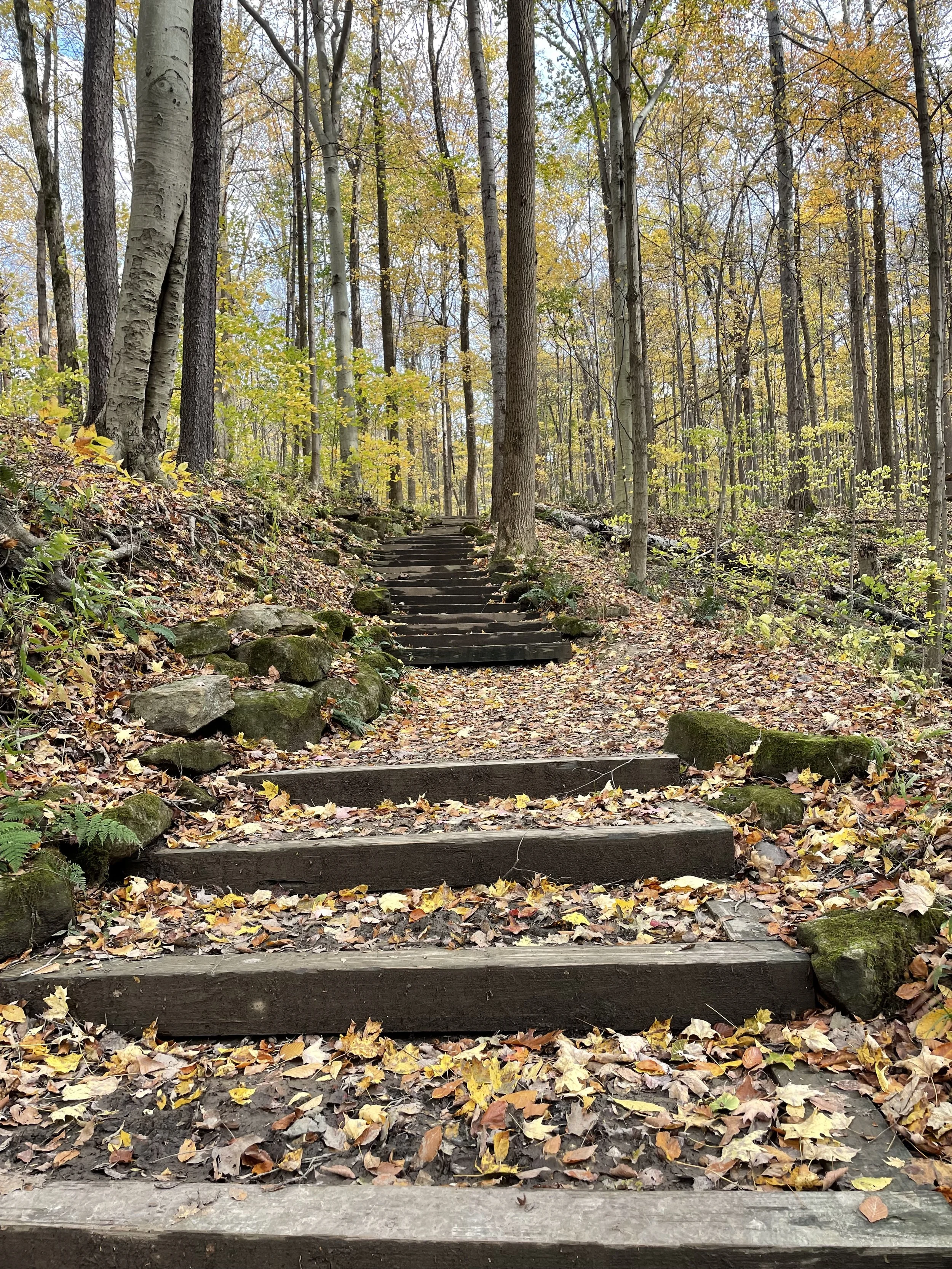 Six steps to manage anxiety