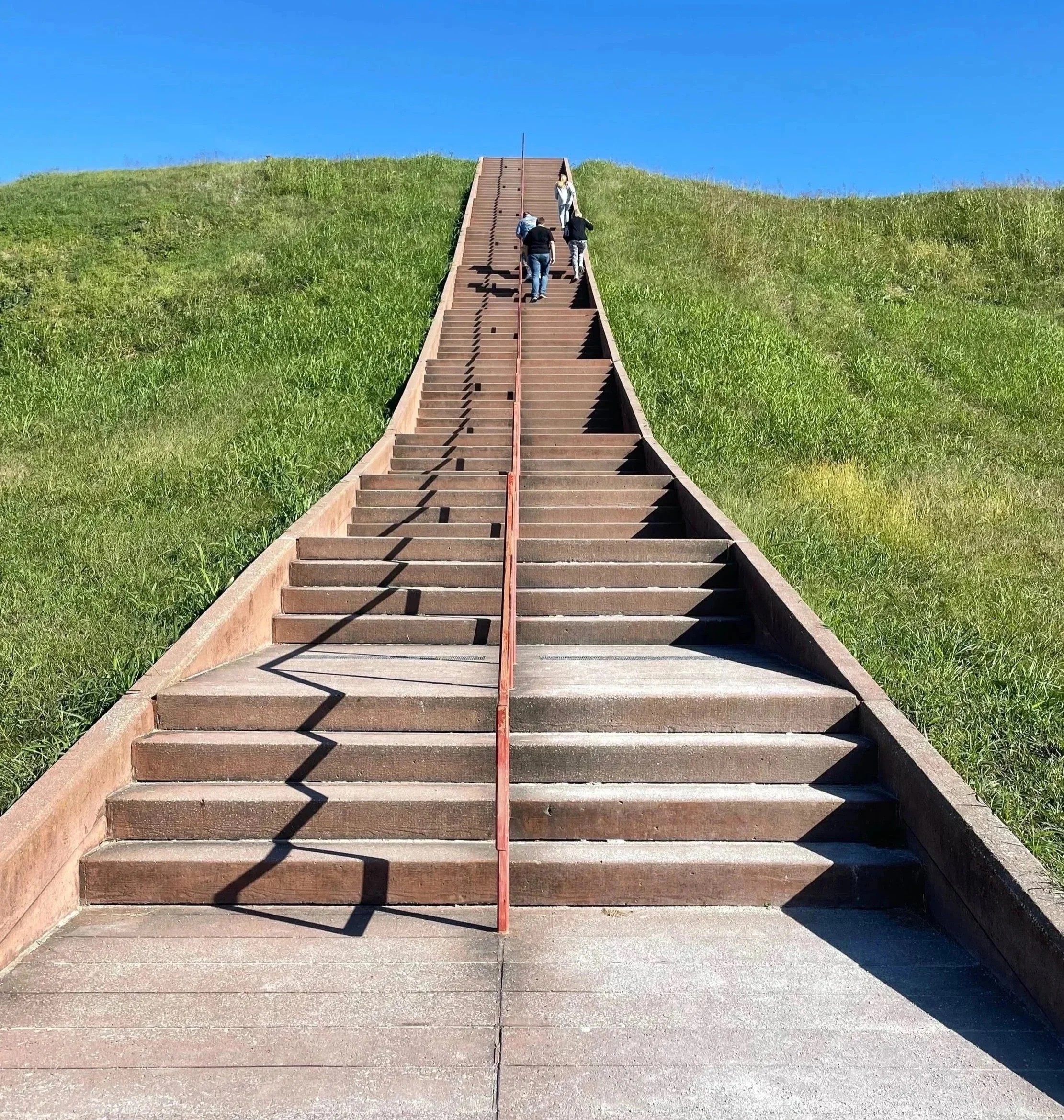 Retraining Your Survival Mechanisms: The 8-Step Process