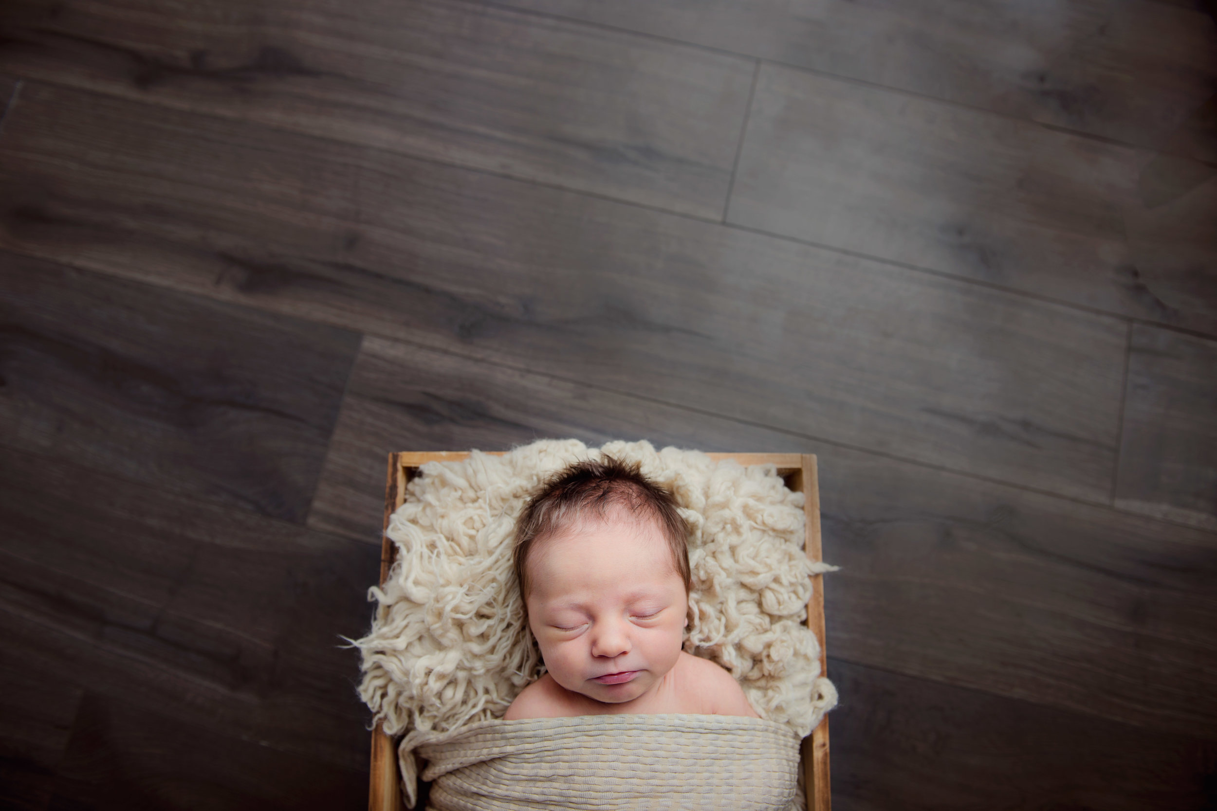 Avery_C0958.jpg