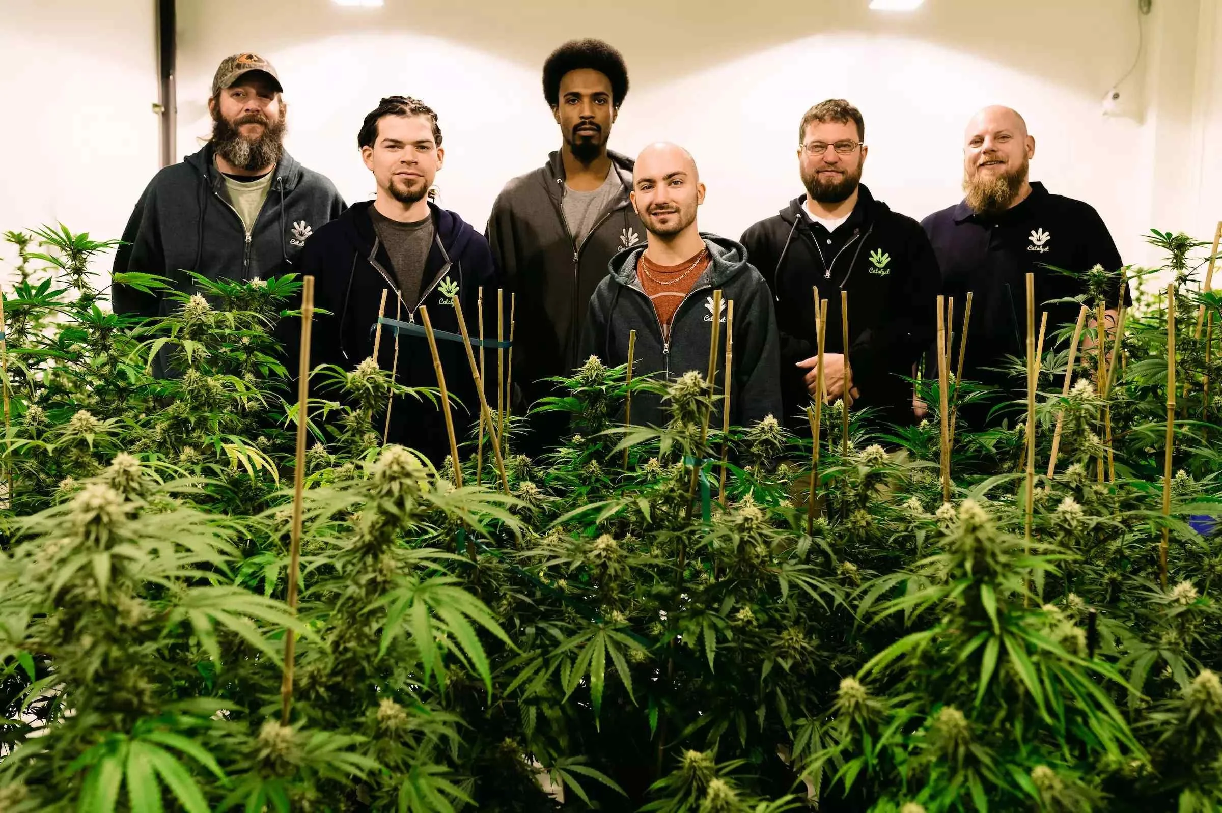 Catalyst Cannabis Company Recreational Dispensary Muldoon