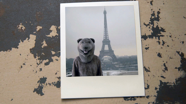 bear eiffel tower copy.jpg