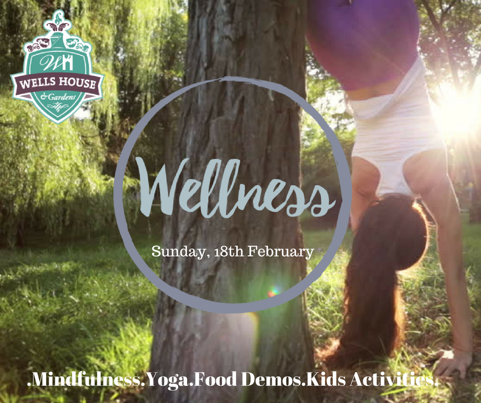 Wells for Wellness Image1_preview.png