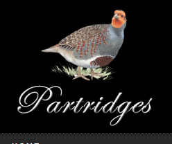 logo 2.png
