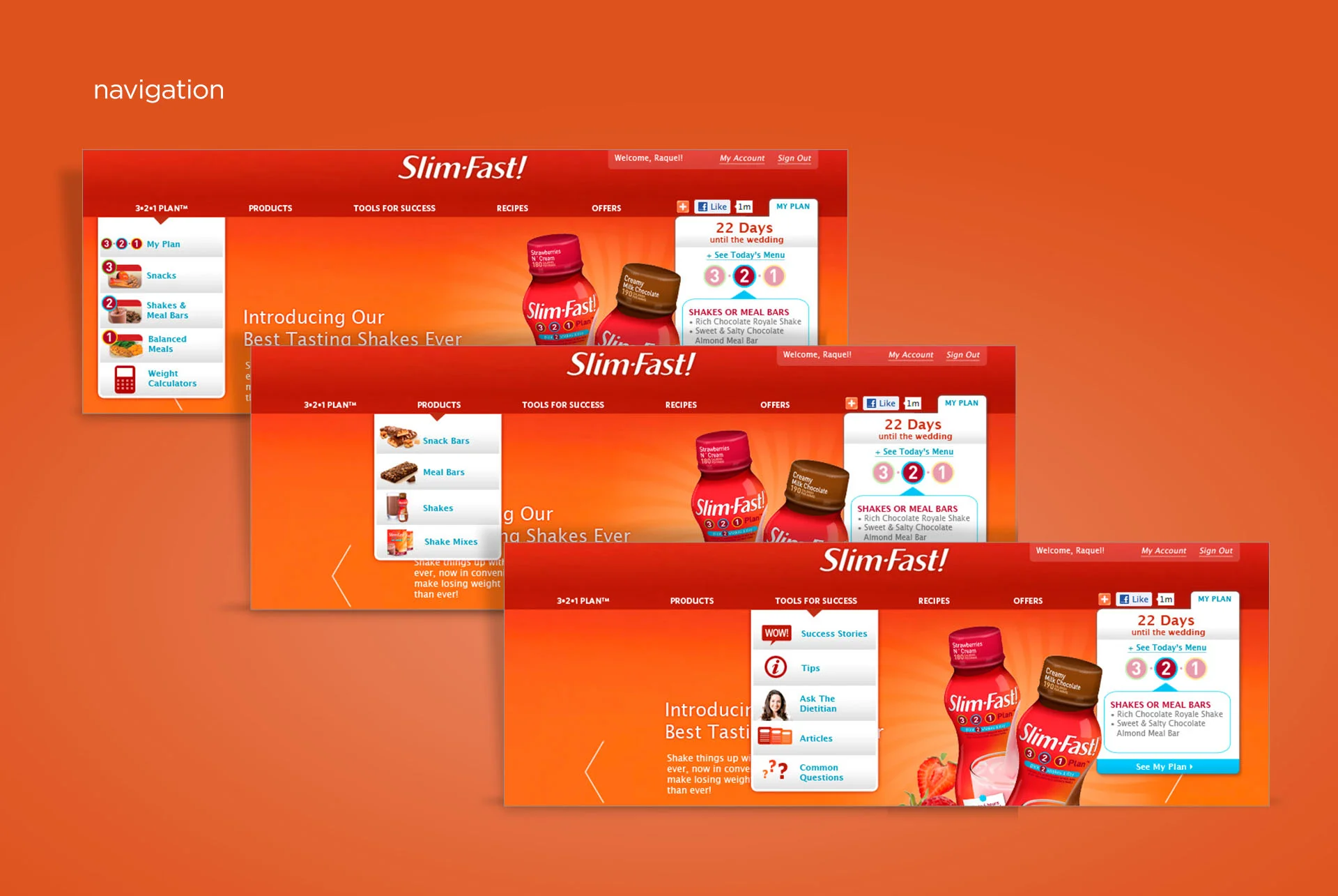 _0008_slim-fast 3.jpg