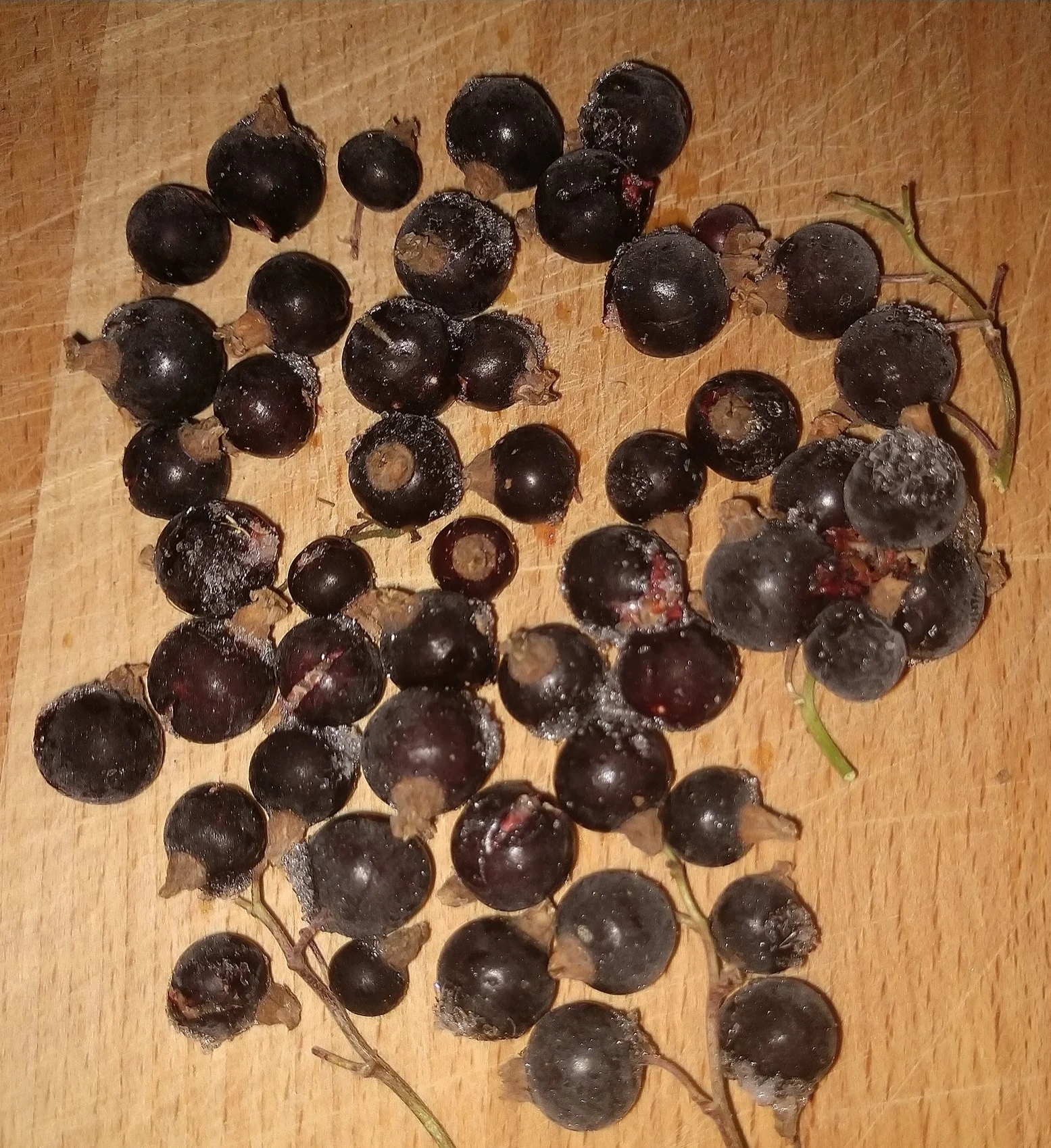 Foraged Blackcurrants - Frozen for Freshness