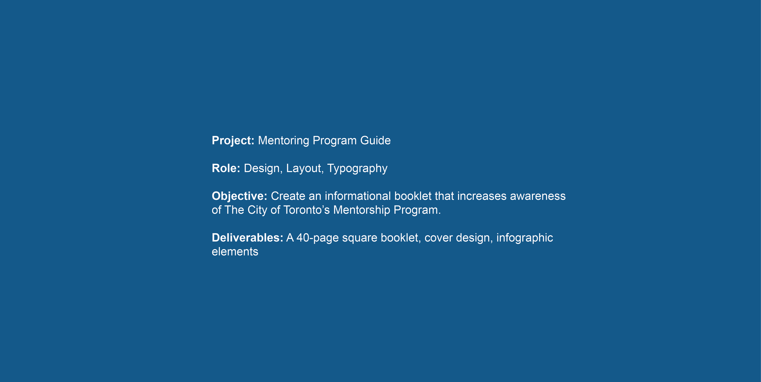 Mentorship portfolio-02.png
