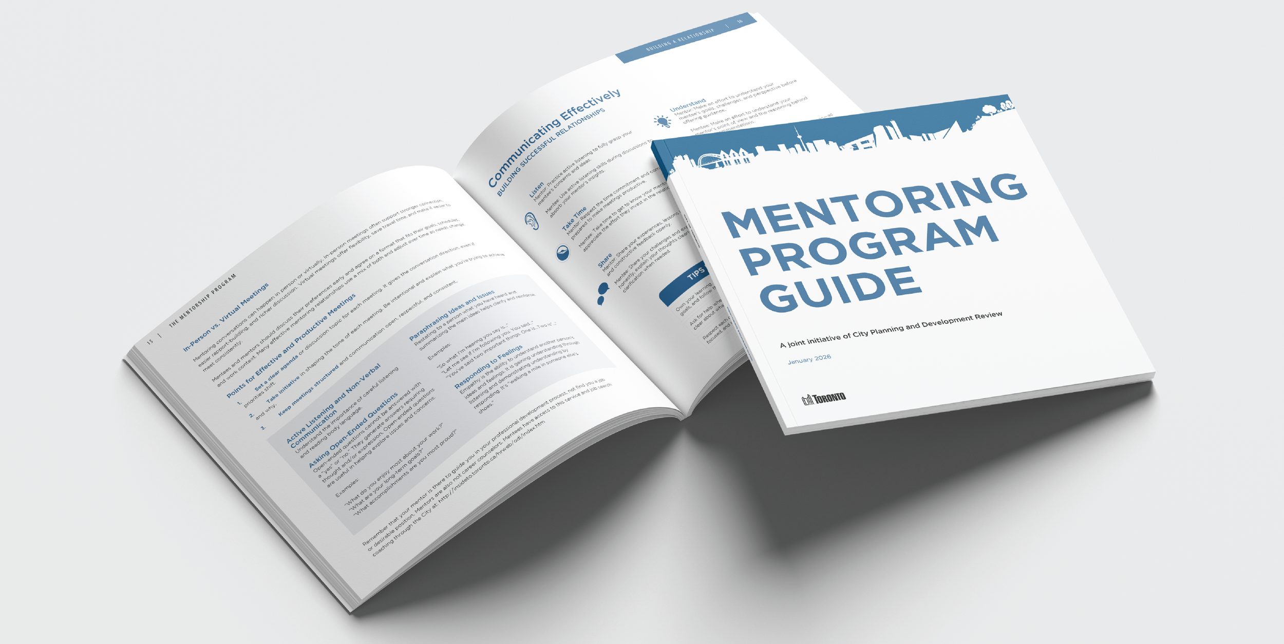 Mentorship portfolio-04.png