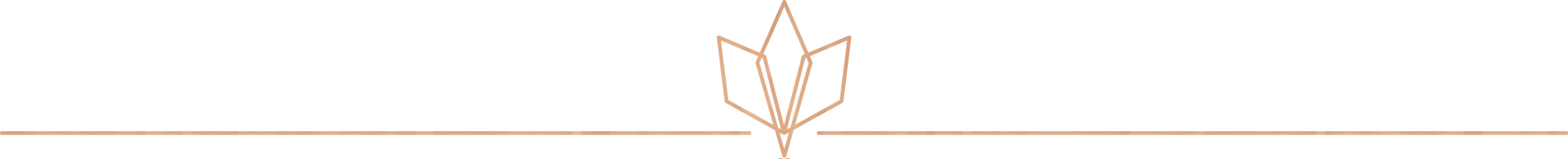 bli-ornament-1.png