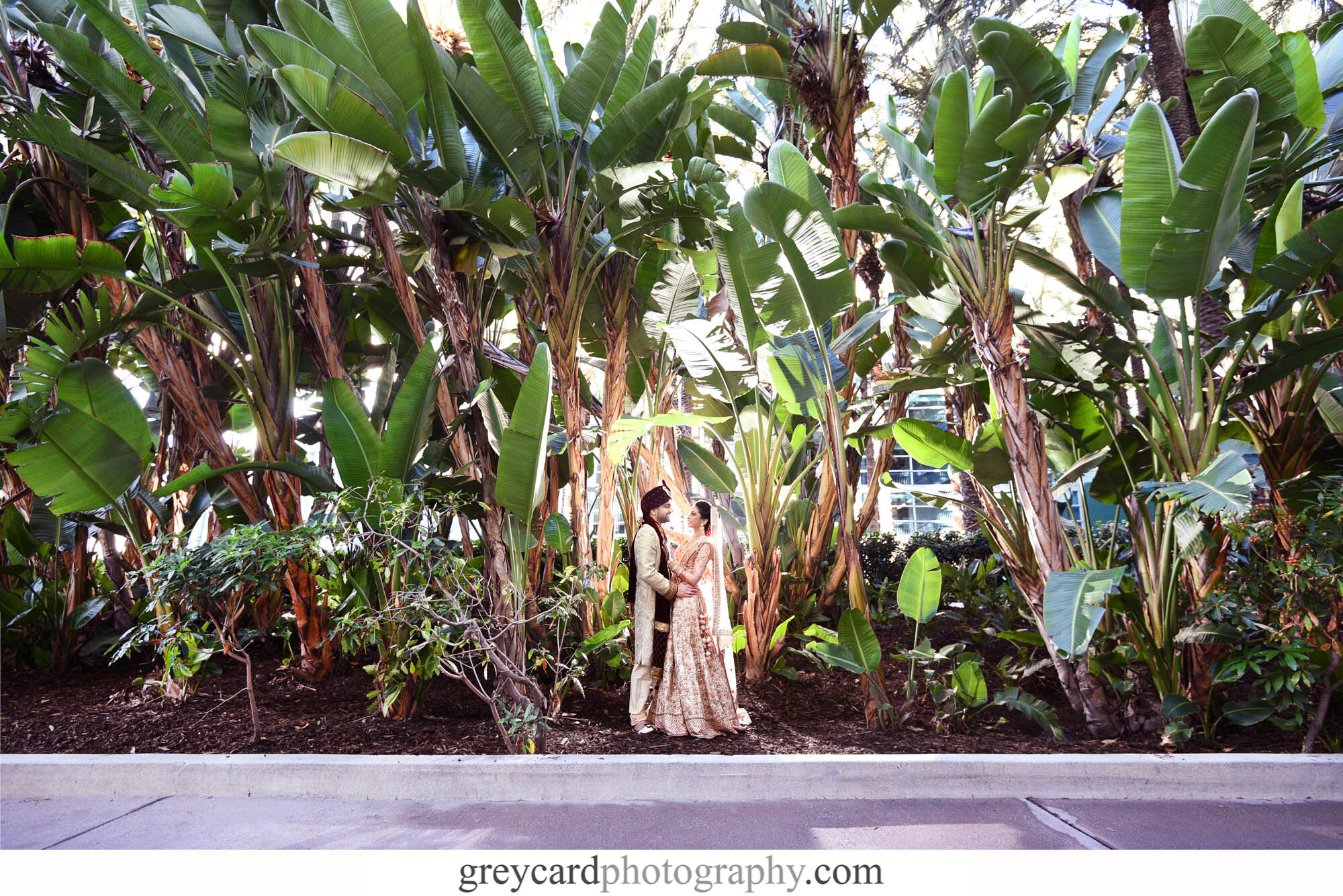 A-Greycard-Photography-Indian-Wedding-Delta-Hotels-Anaheim-Shawna-Yamamoto-.jpg