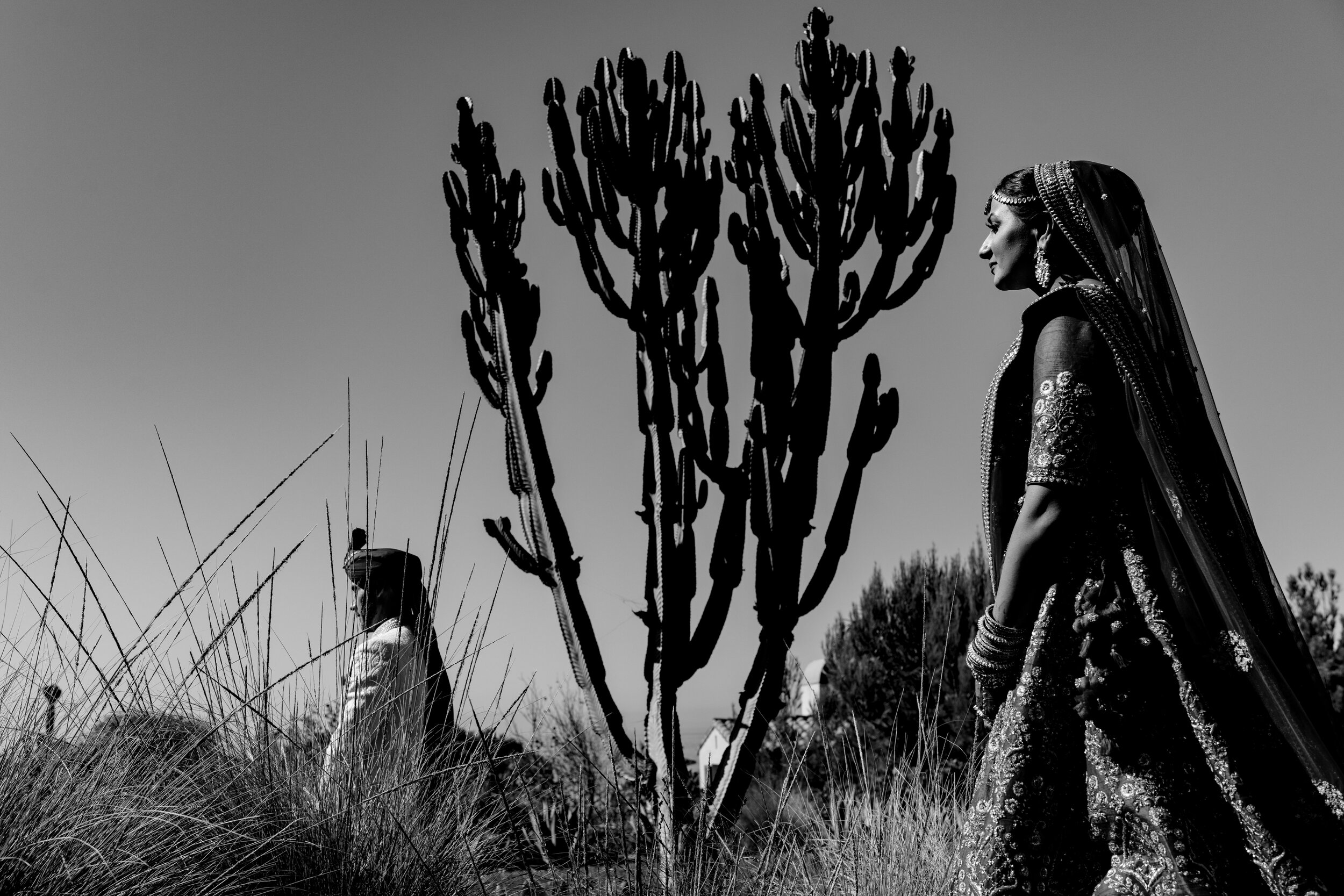 Terranea-Resort-Indian-Wedding-Matei-Horvath.jpg