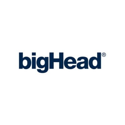  bigHead logo  