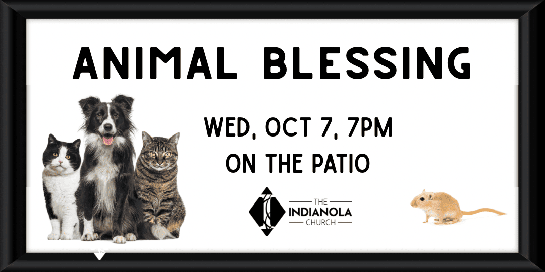 Animal Blessing