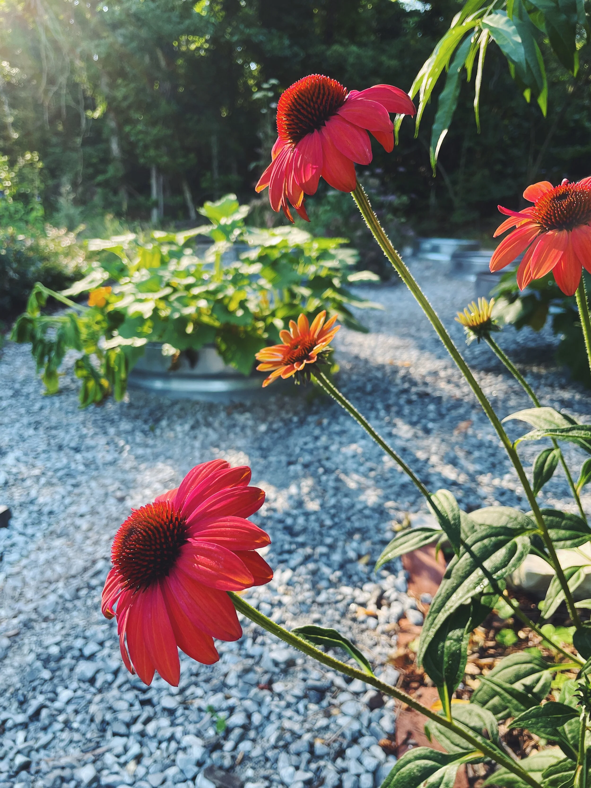 until I look down and notice