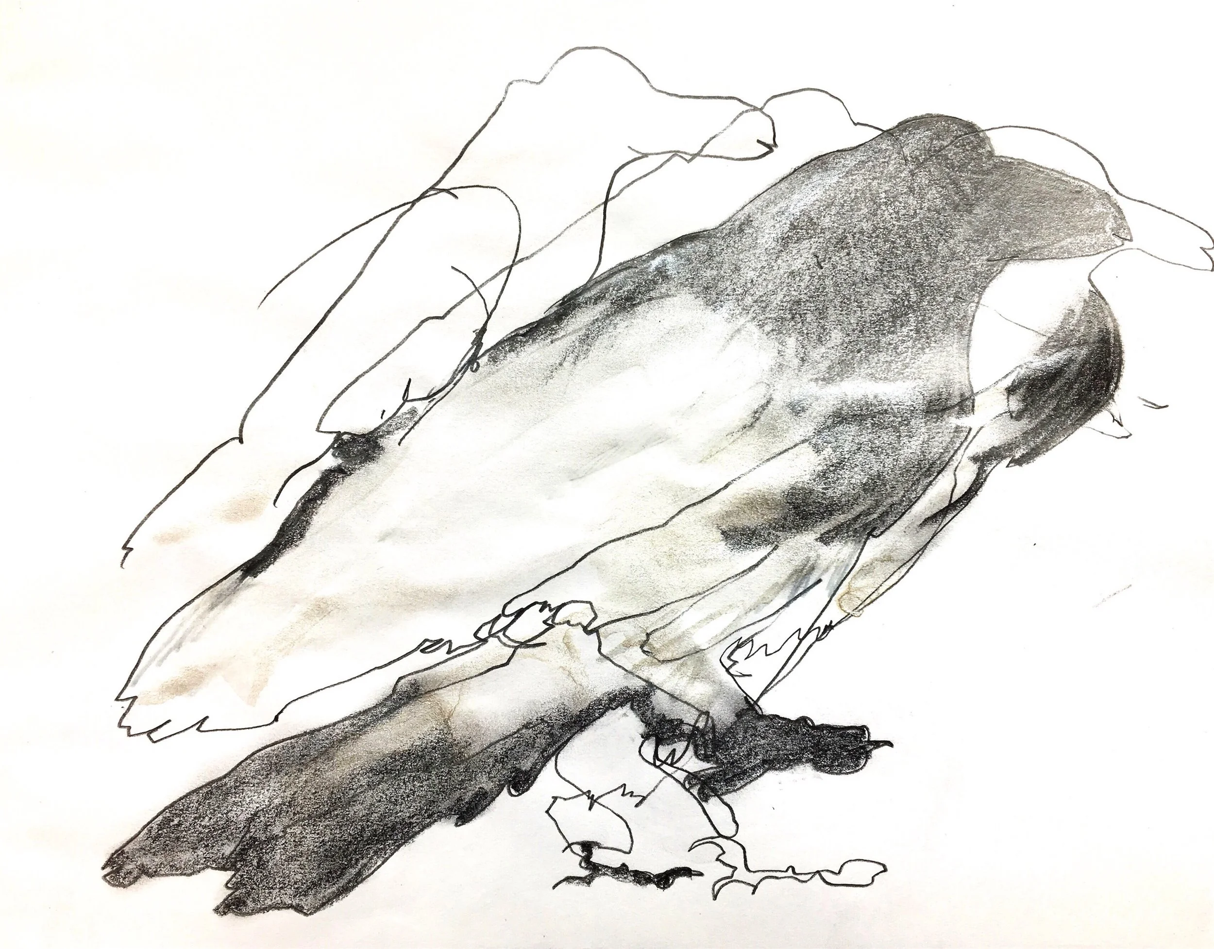 GHOST RAVEN