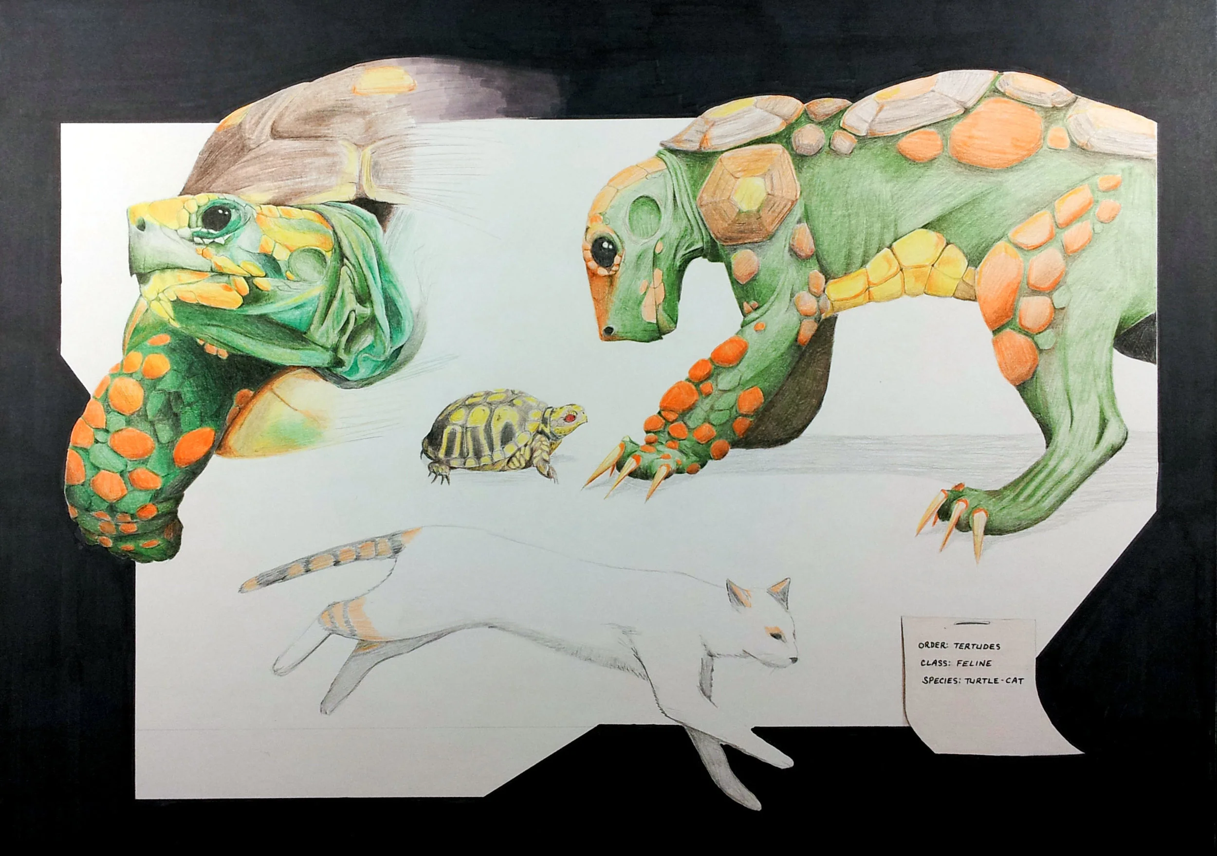 Marker and colored pencil on illustration board, 20"x15"