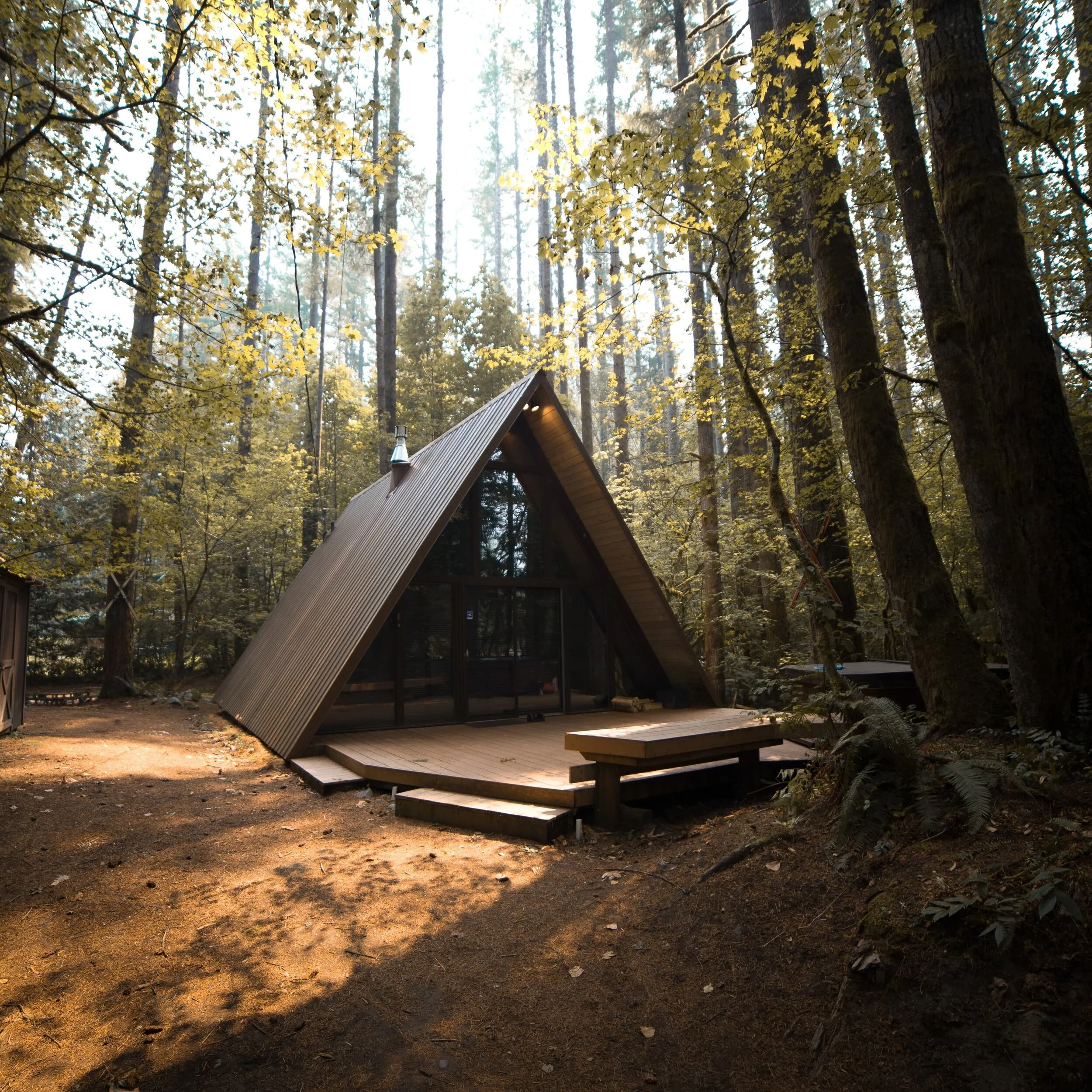 Notes of Enthusiasm- Issue 020