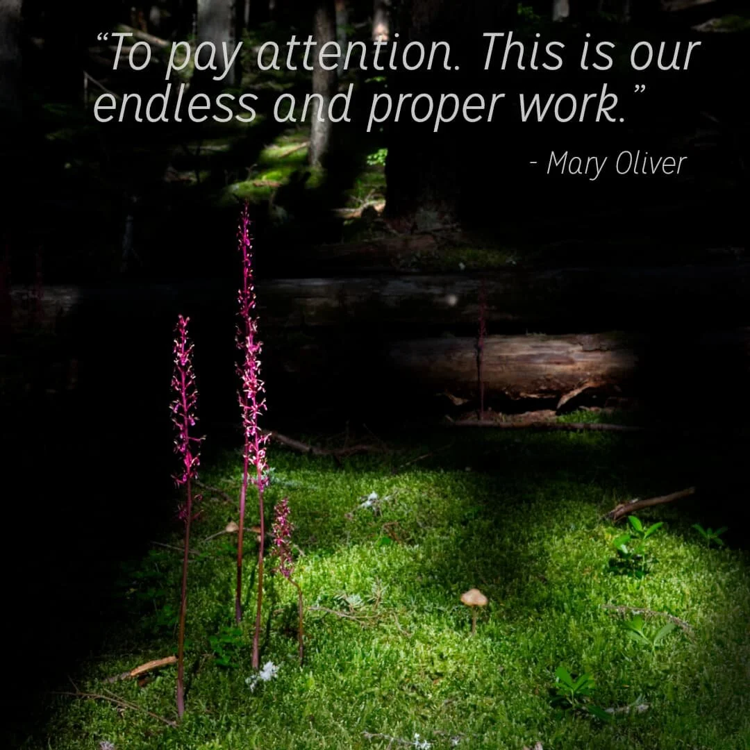 Notes of Enthusiasm- Issue 028