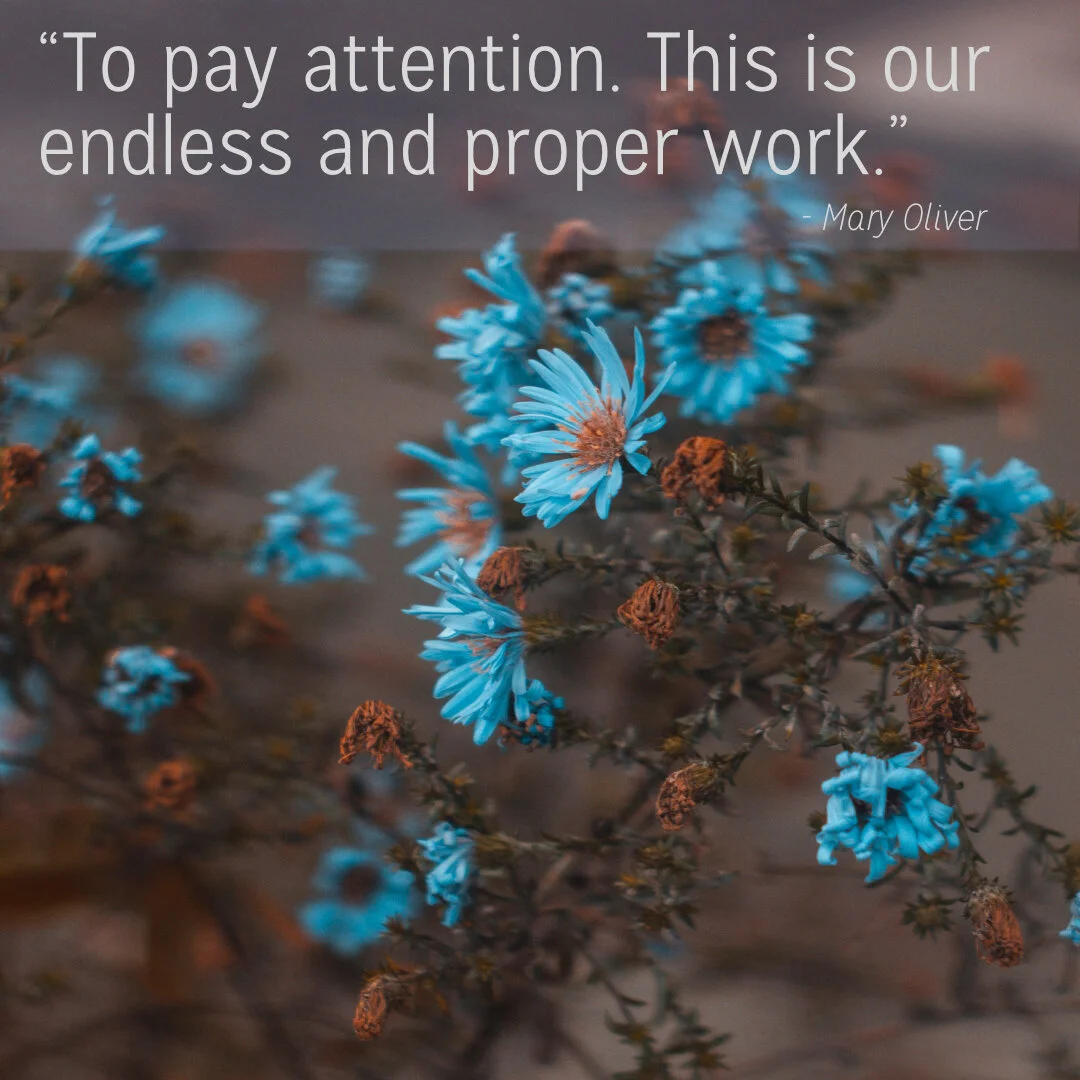 Notes of Enthusiasm- Issue 034