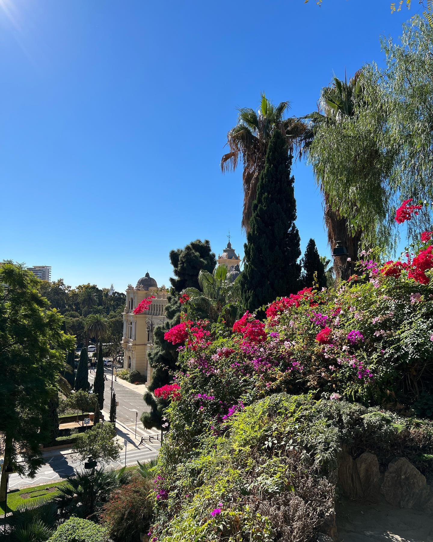 I have really enjoyed touring the gardens of Andalusia; from the beautiful courtyards of grand villas, to the public gardens that line the grand vias 🌴🌺🌳🌹
@nina_seed_interiors 
#ilovetravel 
.
.
.
.
.
#gardens #andalucia #andalusia #spanishgarden