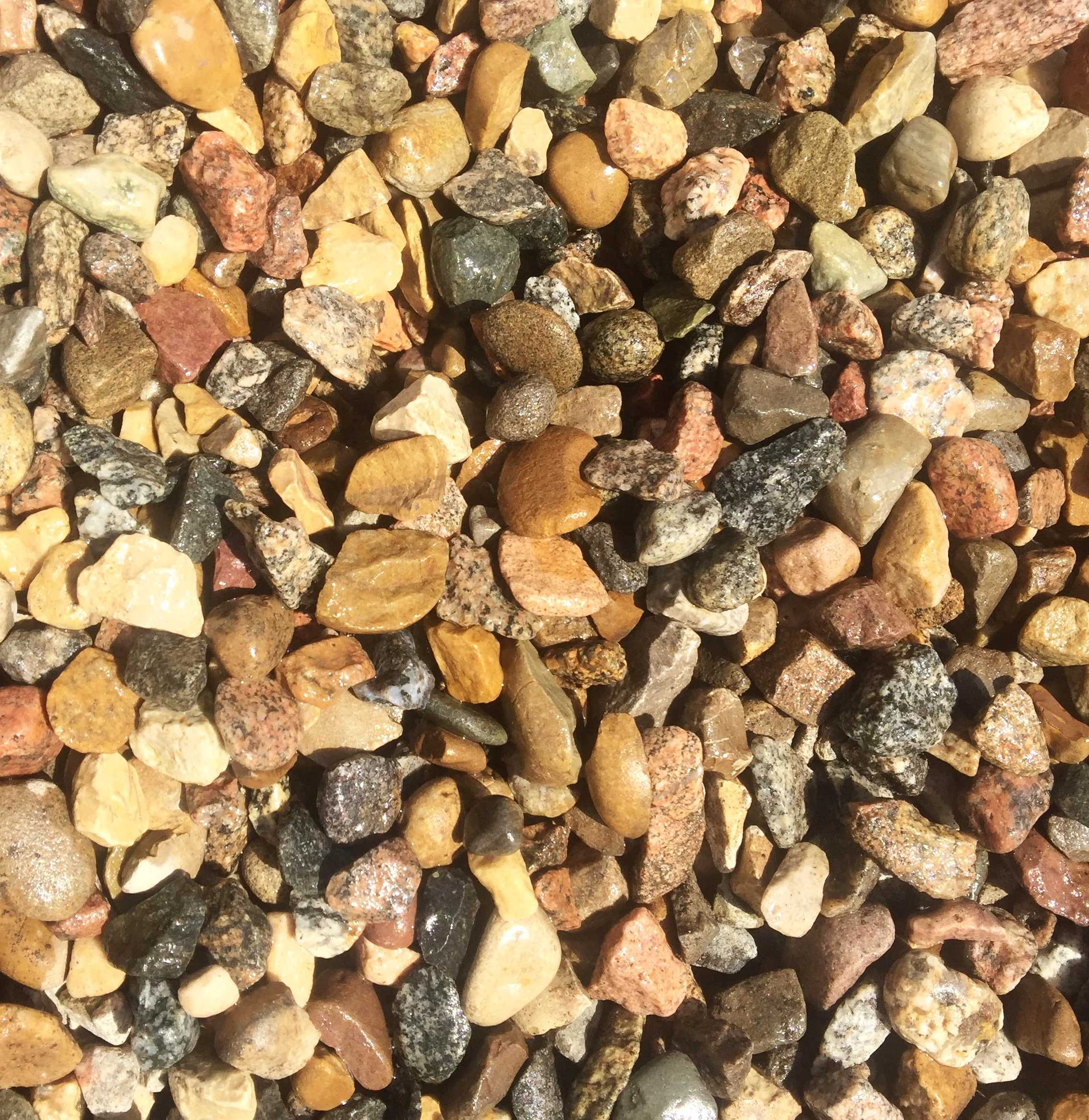rocks 1.jpg