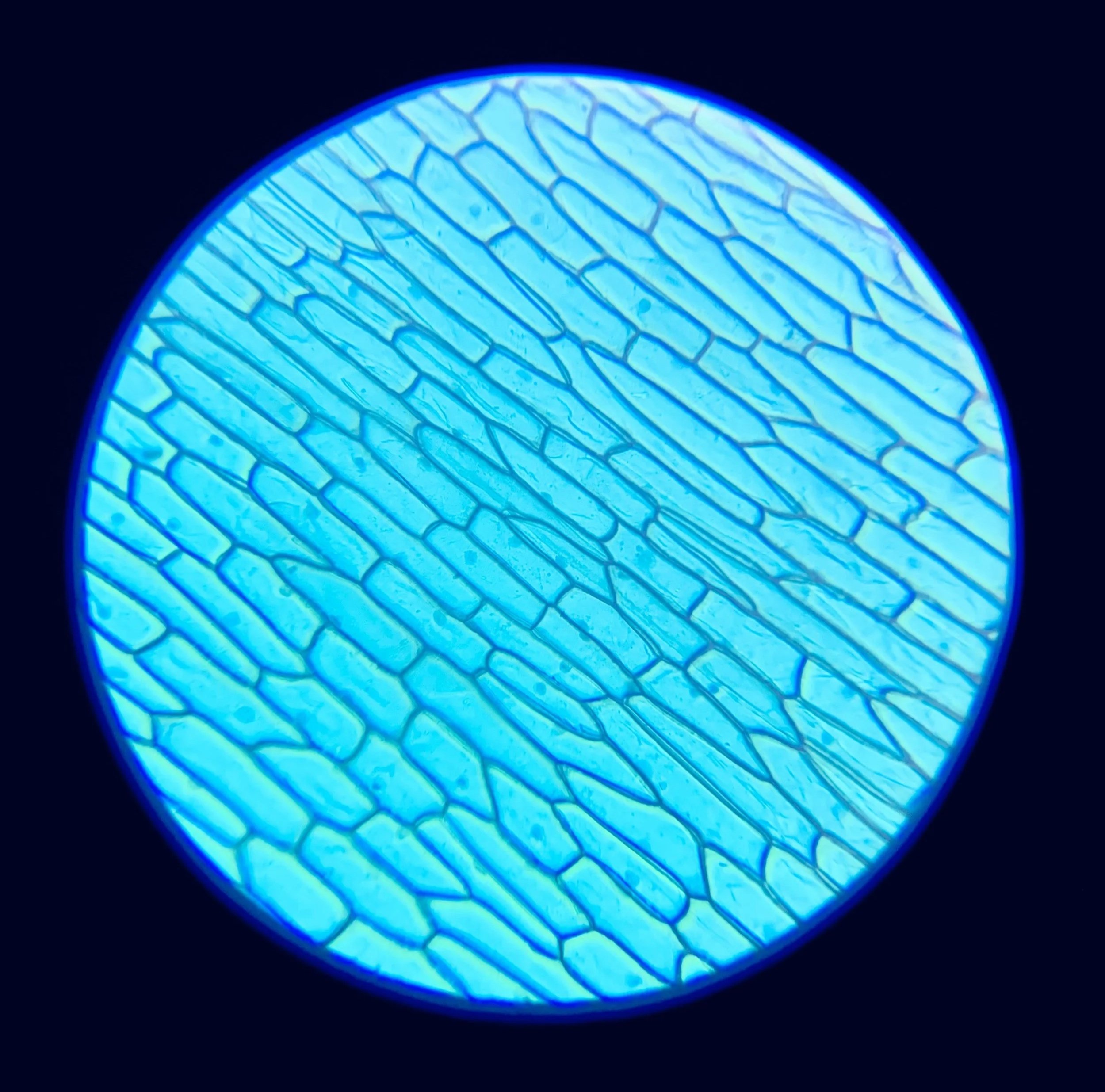 improv team building games exercises