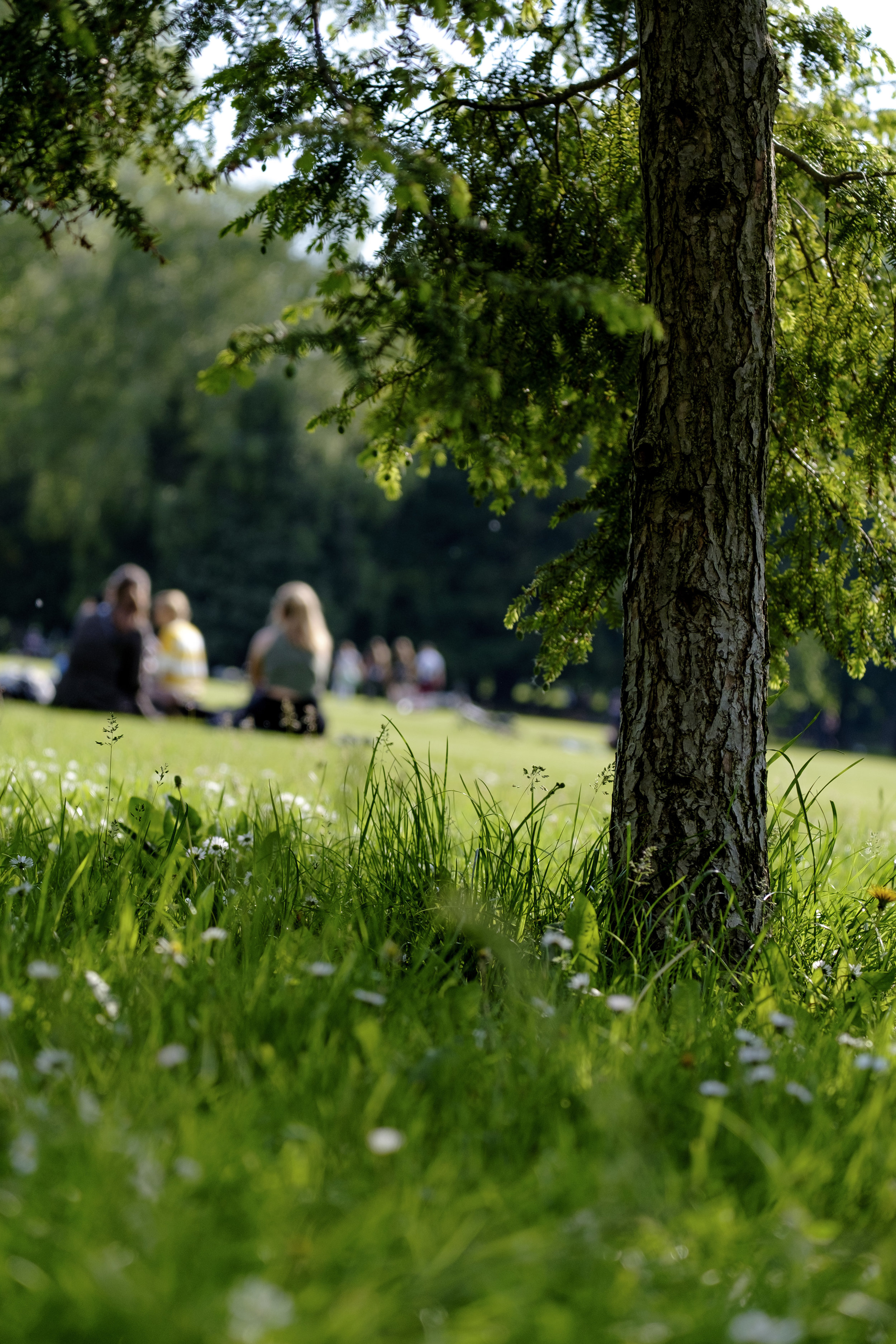 Urban Zen at Rose Run Park