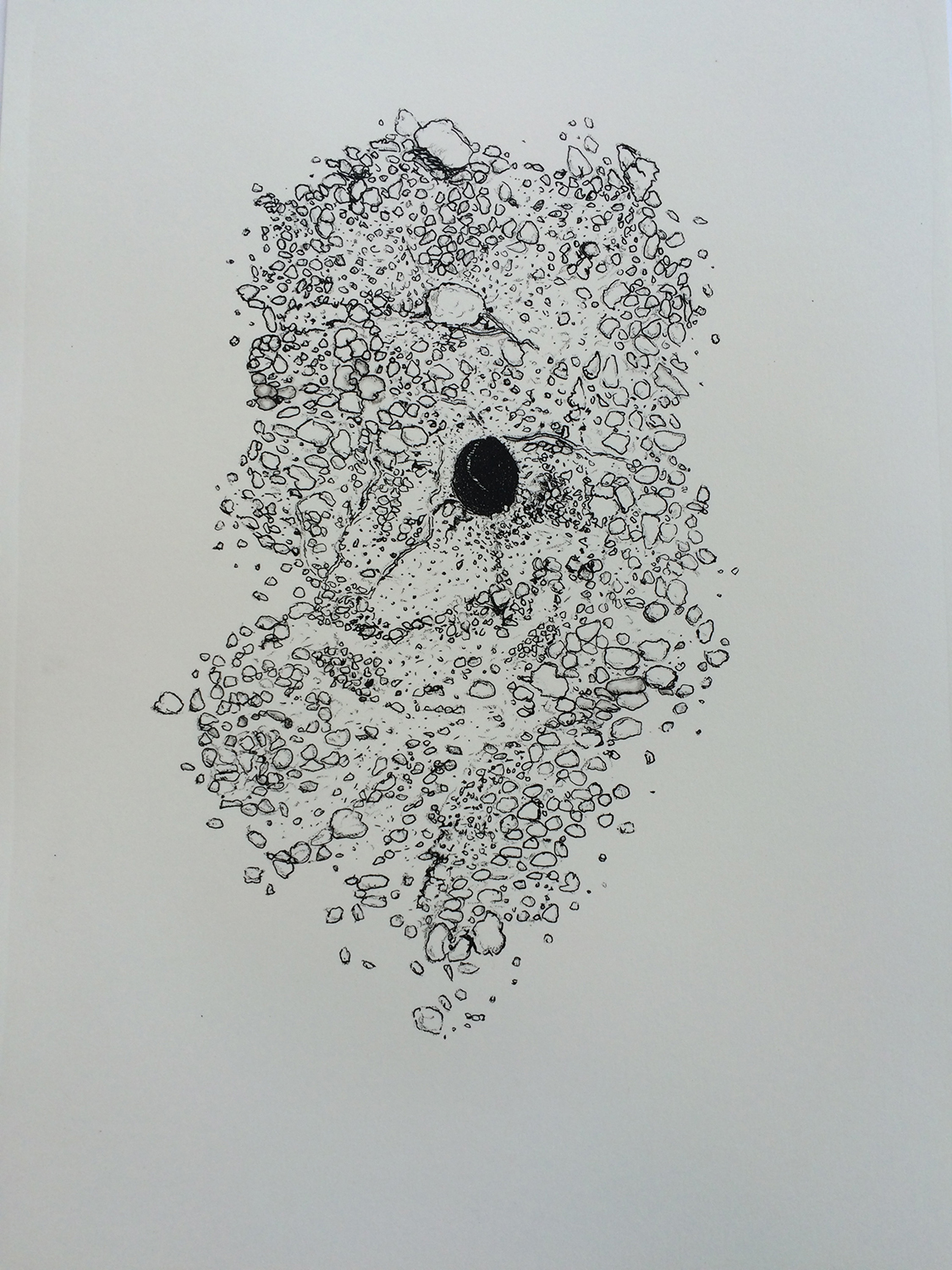 Morag Colquhoun and Lisa Wilkens, solitary bee, 2016, edition of 10 stone lithograph prints on Southbank paper, 28 x 38cm