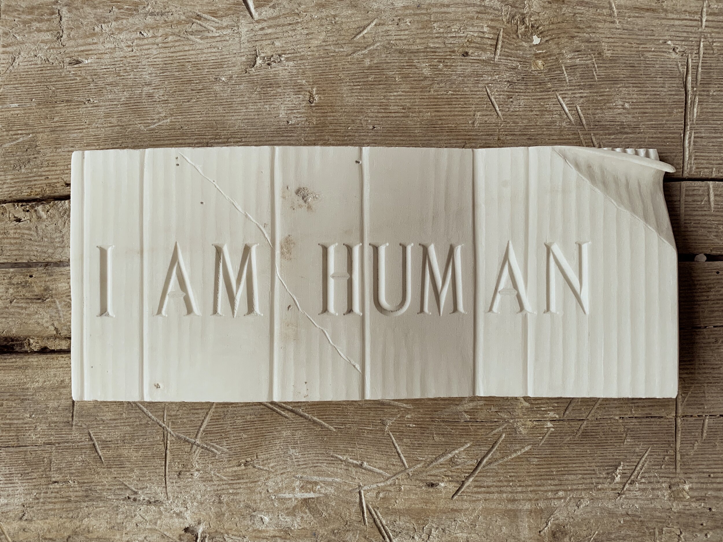 I am human.jpg