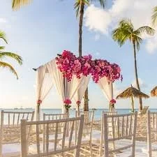 Ricard Vow Renewal 2026