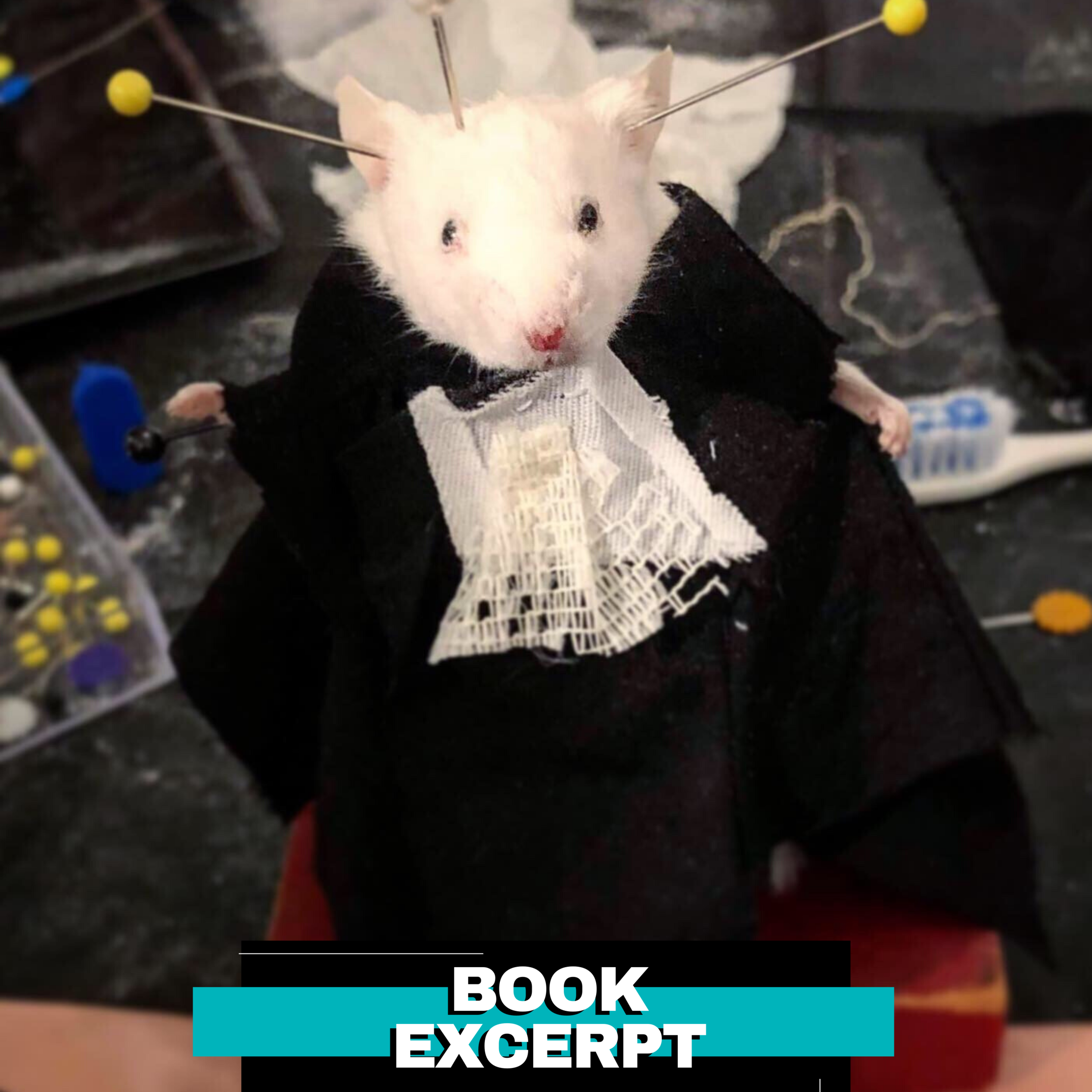 Rats