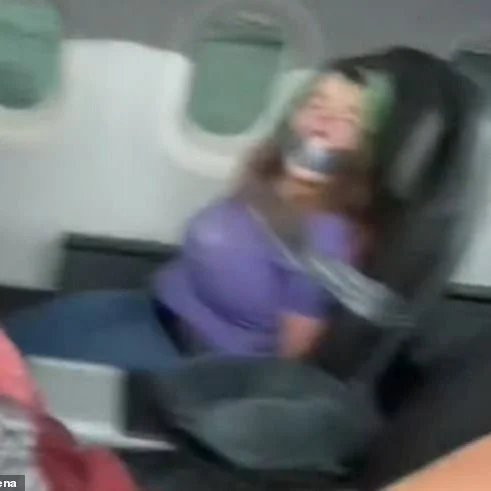 Legal Question: Consequences for Airplane Shenanigans