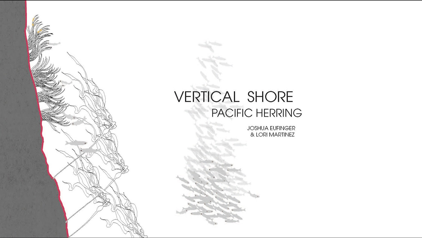 Vertical Shore 1.JPG